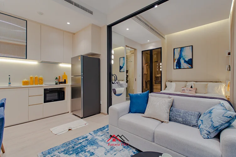 Living Room and Kitchen Space